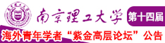 猛屌德国老肥婆南京理工大学第十四届海外青年学者紫金论坛诚邀海内外英才！